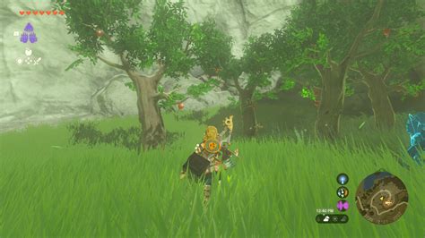 zelda tears of the kingdom sensor test|Zelda tears of the kingdom sensor.